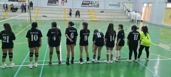 Volley_1